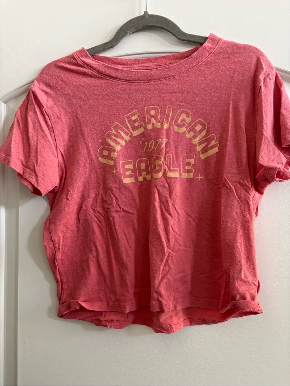American Eagle Outfitters Coral Short Sleeve Tee